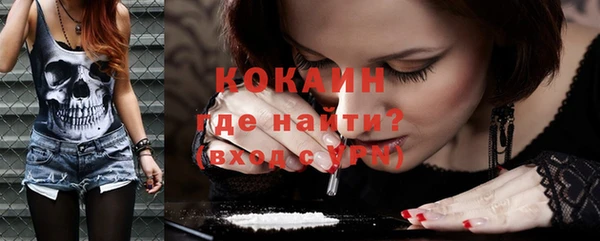 эйфоретик Богданович