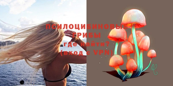 эйфоретик Богданович