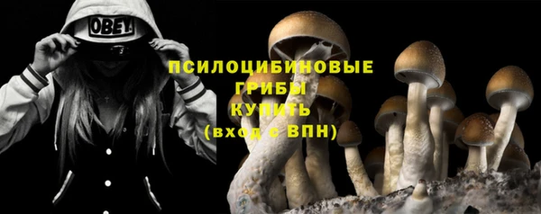 эйфоретик Богданович