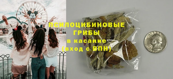 эйфоретик Богданович