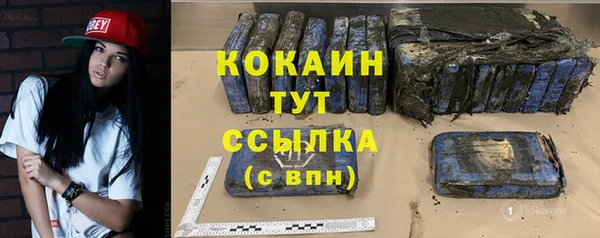 эйфоретик Богданович