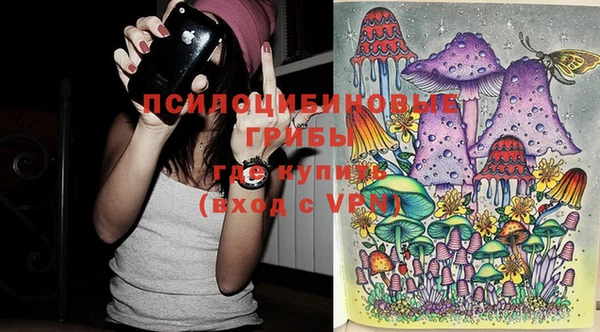 эйфоретик Богданович