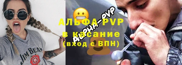 эйфоретик Богданович