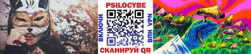 Купить закладки  Гагарин  Галлюциногенные грибы Psilocybine cubensis 